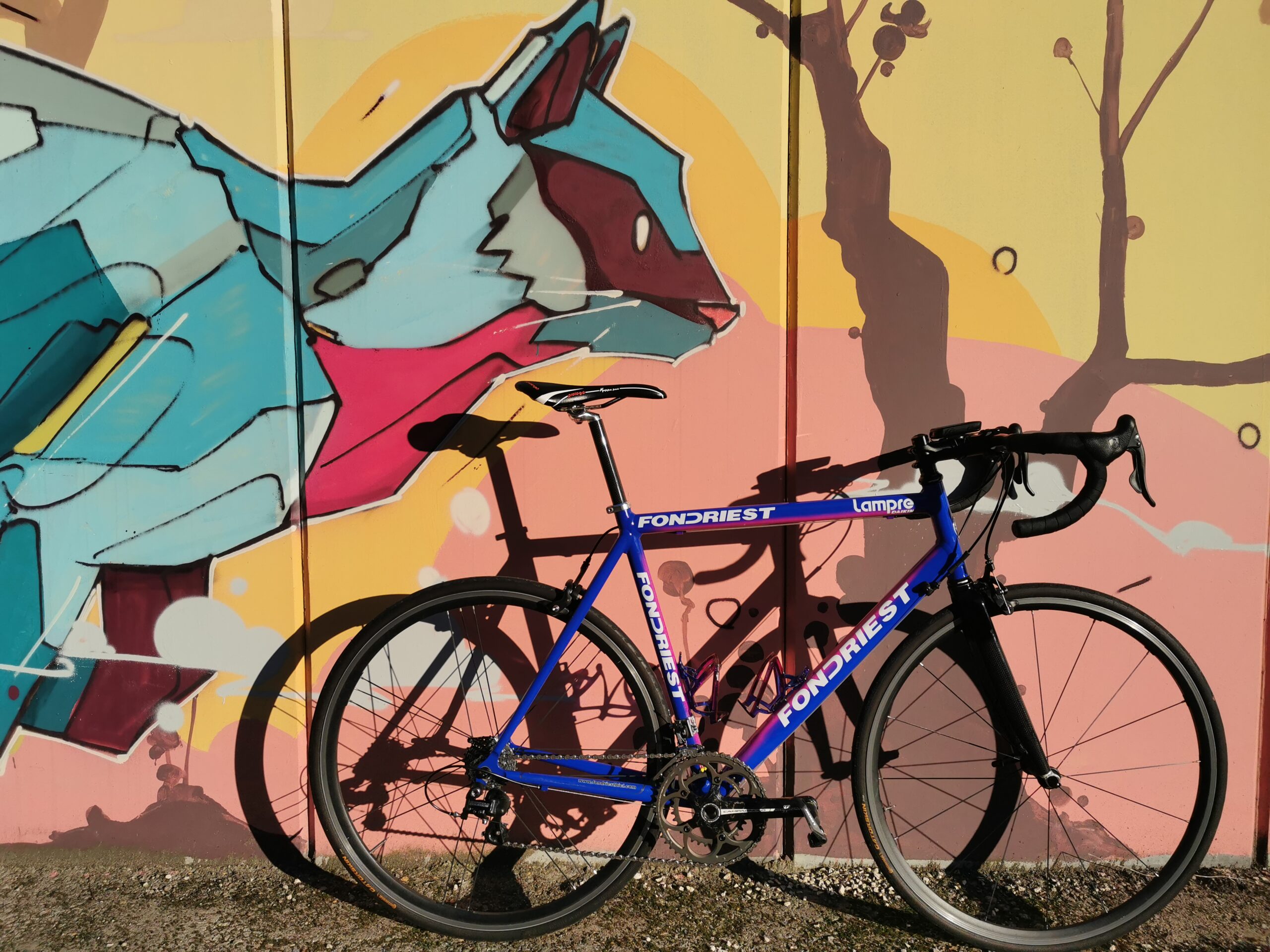 Fondriest Lampre