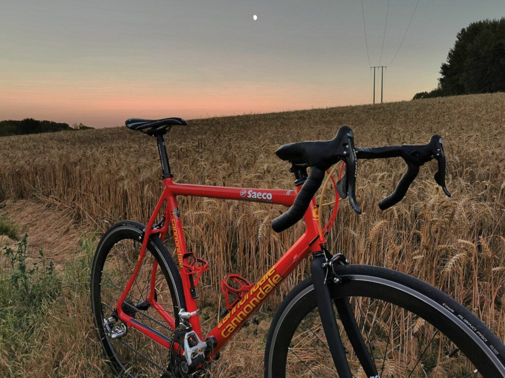 Cannondale saeco red